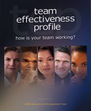 Picture of Team Effectiveness Profile