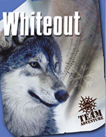 Picture of Whiteout Participant Guide