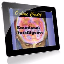 Picture of Emotional Intelligence Style Profile Online Credit