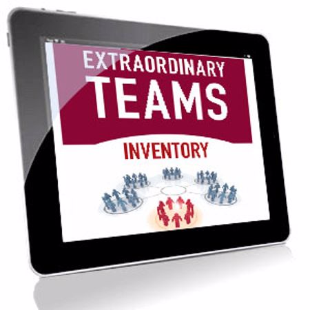 Picture of Extraordinary Teams Inventory - Online Team Assessment Credit