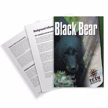Picture of Black Bear Theoretical Background