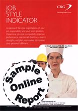 Picture of Job Style Indicator - Online Sample Report