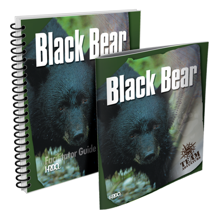 Picture of Black Bear