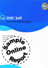 Picture of DISCStyles Online Assessment - Online Sample Report