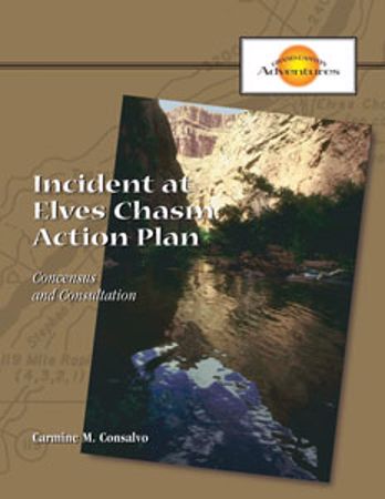 Picture of Incident at Elves Chasm: Action Plan