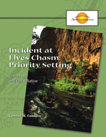 Picture of Incident at Elves Chasm: Priority Setting