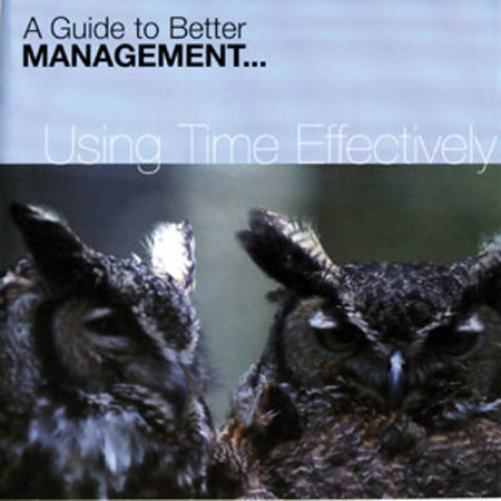 Picture of Using Time Effectively CD