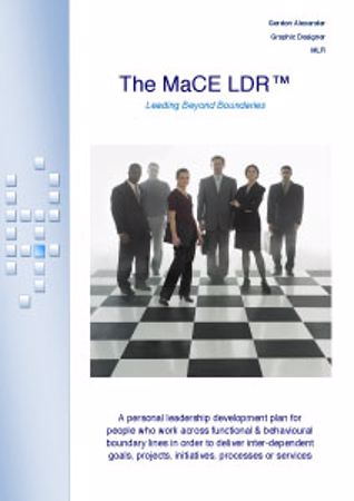 Picture of The Matrix and Complex Environment (MaCE) Leadership Diagnostic Report (LDR)