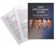 Picture of Team Effectiveness Profile - Theoretical Background
