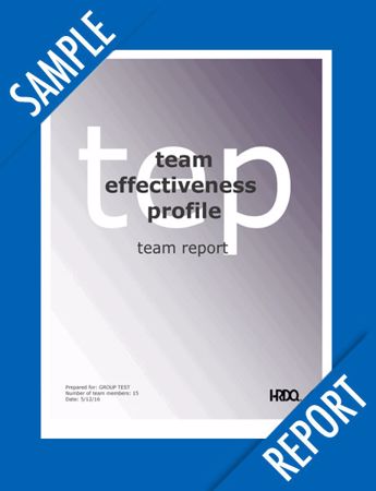 Picture of Team Effectiveness Profile - TEAM Online Sample Report