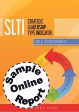 Picture of Strategic Leadership Type Indicator - Online Sample Report