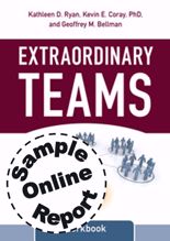 Picture of Extraordinary Teams - Online Team Assessment Sample Report