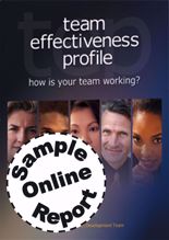 Picture of Team Effectiveness Profile - SELF Online Sample Report