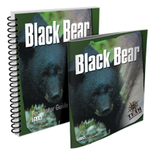 Picture of Black Bear