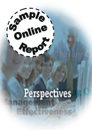 Picture of Perspectives 360 Feedback - Online Sample Report
