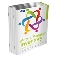 Picture of Matrix Manager Inventory Workbook