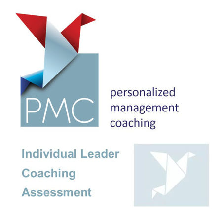 PMC Individual Leader Coaching Assessment