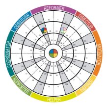Picture of Insights Discovery profile (foundation and management chapters)
