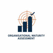 Picture of Organisational Maturity Assessment